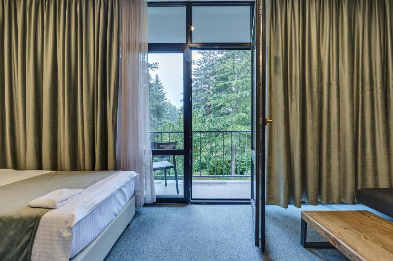 Mountain Resort Gantiadi Bordžomi Exteriér fotografie