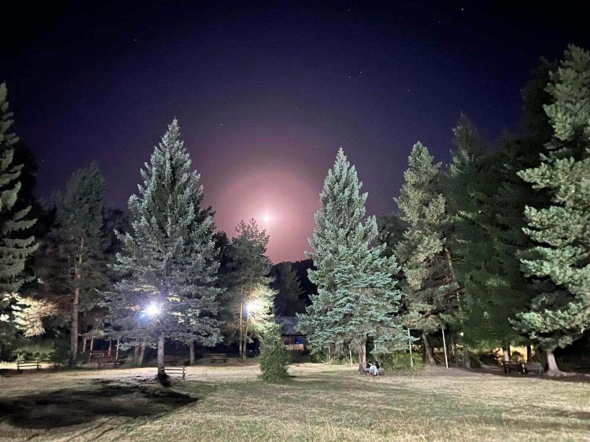 Mountain Resort Gantiadi Bordžomi Exteriér fotografie