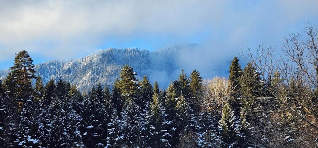 Mountain Resort Gantiadi Bordžomi Exteriér fotografie