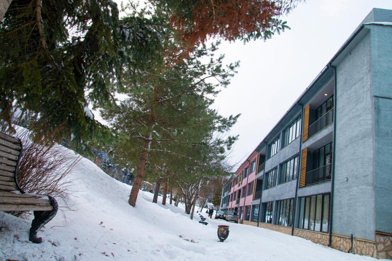 Mountain Resort Gantiadi Bordžomi Exteriér fotografie
